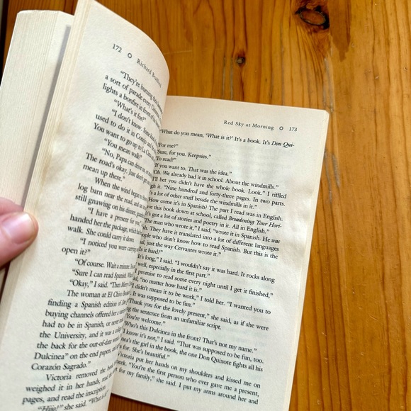 Red Sky At Morning by Richard Bradford paperback book 1999 vintage - Picture 6 of 6